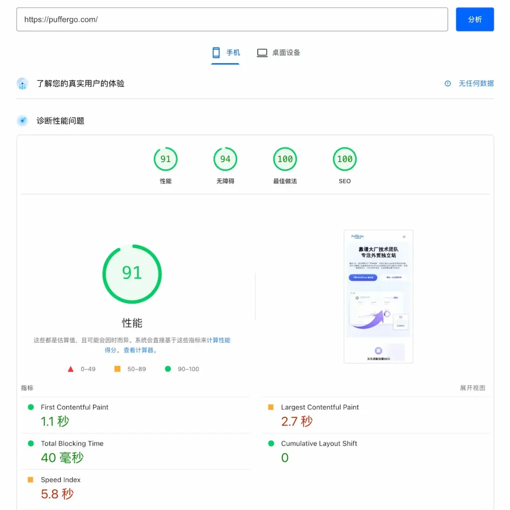 Google PageSpeed Insights